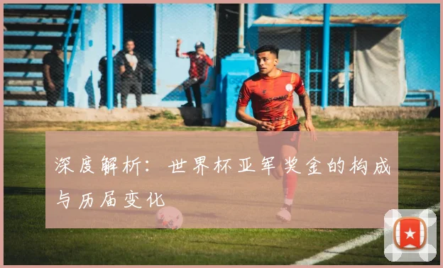 深度解析：世界杯亚军奖金的构成与历届变化