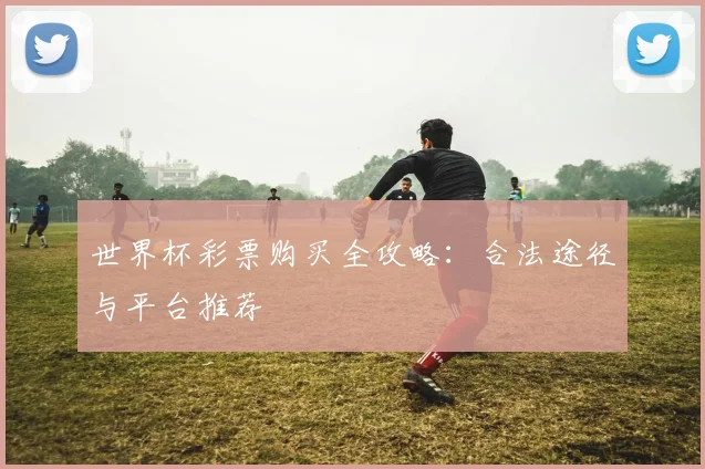 世界杯彩票购买全攻略:合法途径与平台推荐