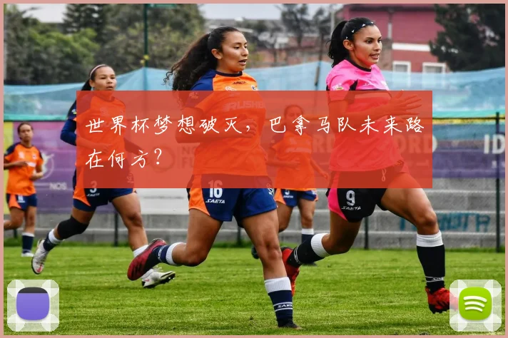 世界杯梦想破灭，巴拿马队未来路在何方？