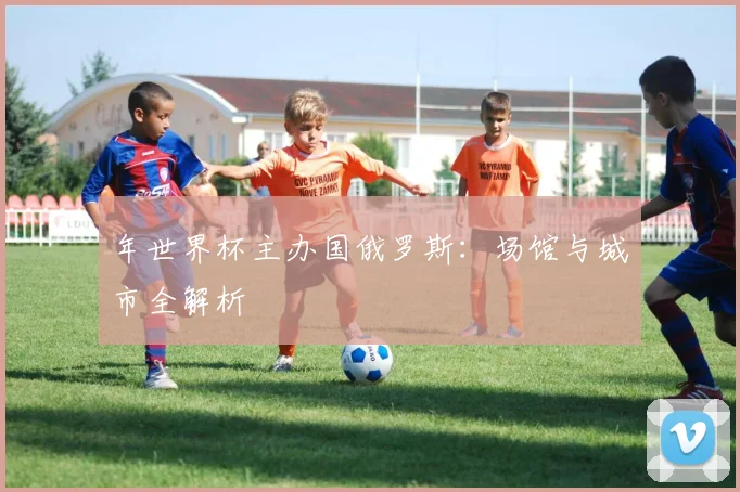 年世界杯主办国俄罗斯:场馆与城市全解析