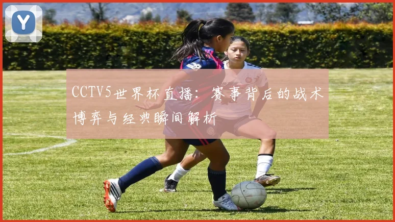 CCTV5世界杯直播:赛事背后的战术博弈与经典瞬间解析