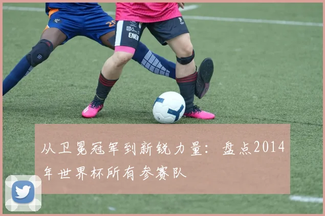 从卫冕冠军到新锐力量：盘点2014年世界杯所有参赛队