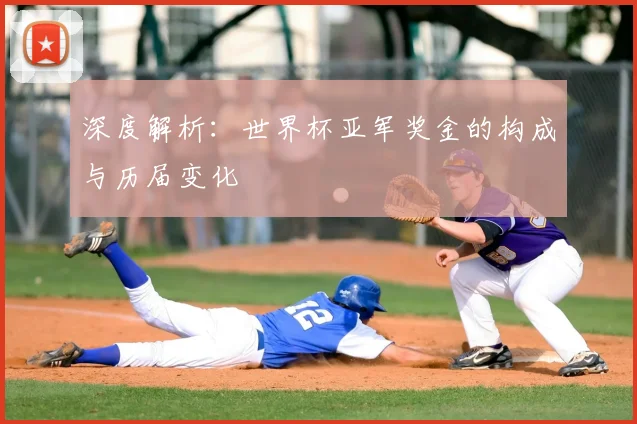 深度解析：世界杯亚军奖金的构成与历届变化