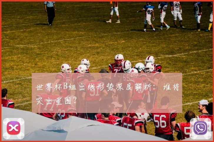 世界杯B组出线形势深度解析:谁将突出重围?