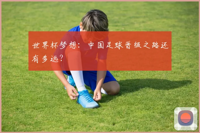 世界杯梦想:中国足球晋级之路还有多远?